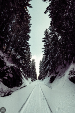 ladylandscape:  (via 500px / 81 of 365. Iron Horse Trail by Tanner