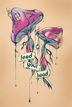deathtouchxoxo:  Keep It Trippy  Word. Feed the demons, explore