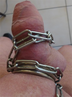 my chained ringed cock