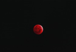 yungparthenon:  Blood Moon October 8th, 2014, at 3:05 am 