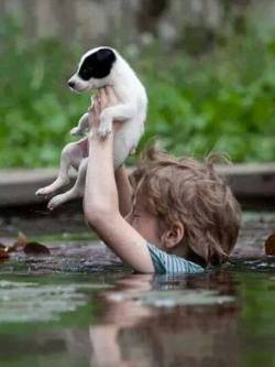 awwww-cute:  Serbia floods, little kid saving his dog