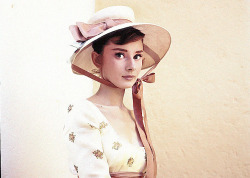 laurasaxby:Audrey Hepburn photographed by Milton Greene, 1955. 