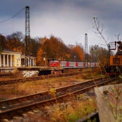 #Trains & #rails / #Gatchina #Russia #October 2013 #поезда