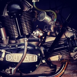 bobberinspiration:  Ducati engine