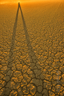 “Long, Tall Jerry” On the playa, in Nevada, at sunrise-jerrysEYES