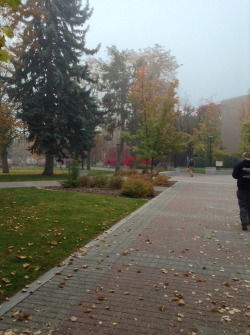 Walking through campus.