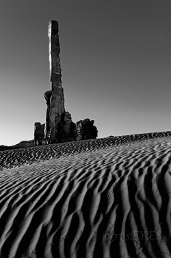 “Desert Swell” Yi Bei Chi, Monument Valley UT
