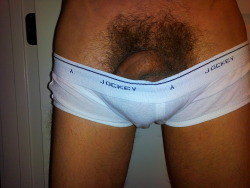 12169003:  my thick bush in these low-rise jockey briefs