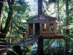 brutalgeneration:  Tree House by B e t h on Flickr.  I want