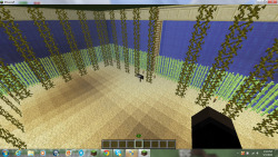 This would be my sugar cane room in my community garden in my