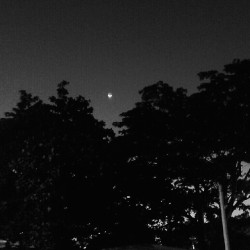 Moon Black and white. (en Calle 20 Chuburna De Hidalgo)
