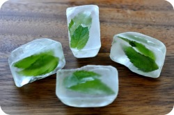 thecakebar:  Mint Ice Cubes Tutorial I think the best usage of