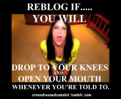 sissy-stable:  Would you drop to your knees, open your mouth