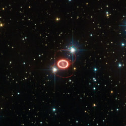 cosmicvastness:    Supernova SN 1987A  Dominating this picture