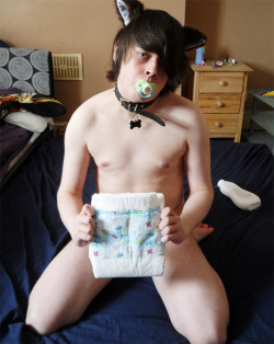 bigbrojj:  padded-puppy:  Pup’s first time in a Bambino n_n