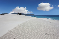 fuckyeahsardinia:  Sand dunes, Teulada, Sardinia Le dune di Porto
