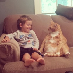 cute-overload:  Just My Nephew Having a Chat with His Cat, Larryhttp://cute-overload.tumblr.com