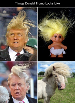 tastefullyoffensive:  Things Donald Trump Looks Like (photos