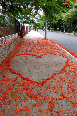 lets-fall-in-love-my-dear.tumblr.com/post/81061666036/