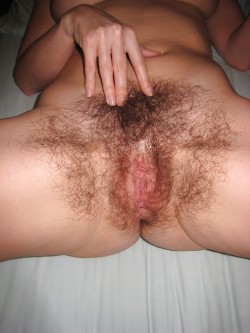 hairybushlover1:  hairywomenrock:  Yet another of me.  By the