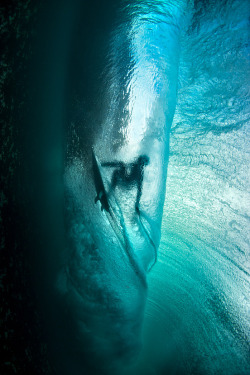 wavemotions:  Surfer