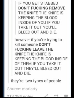 itsstuckyinmyhead:  The Different Types of People on Tumblr 