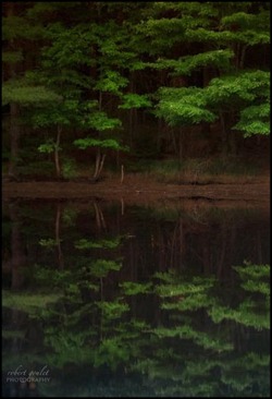 crescentmoon06:  Mirror Image by Robert Goulet on 500px 
