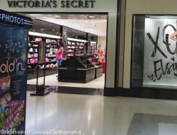 diapergalloverbobstewart:Kitty had some trouble at the mall.