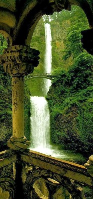 thetallestmanonearthposts:  gyclli: Silver Falls State Park,