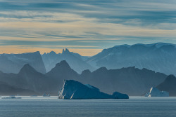 oecologia:  Icebergs and Mountains (Greenland) by Janet Little