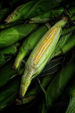 “It’s Not Heaven, It’s Iowa” sweet corn