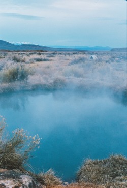 forrestmankins:  Early morning at the hot springs.  