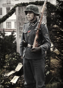 fuehrerbefehl:  Colorized photo of an SS-Scharfuhrer on guard