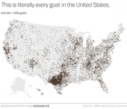 ilovecharts:  Literally every goat in the United States  LOOK!