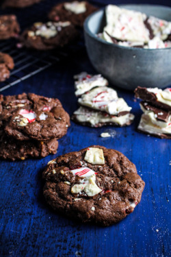 gastrogirl:  chocolate peppermint bark cookies.