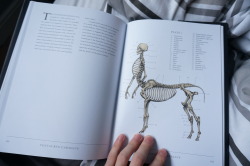 clepse:  One of me favourite books, a Gray’s Anatomy for mythological