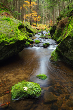 bluepueblo:  Autumn Stream, Czech Republic photo via lisa 