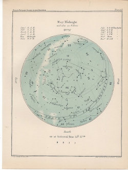 lecatnoir:   May month rare celestial map 