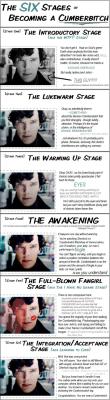 The Six Stages of Becoming a Cumberbitch - Imgur I found this