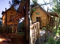 tinyhometrail:  Tiny Treehouse Home(Source) 