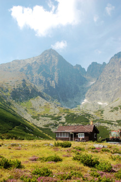 allthingseurope:  High Tatras, Slovakia (by Wilson Lu)