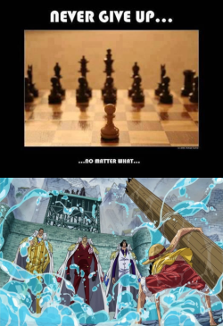 luffygirl05:  I laughed when I saw the chess picture. When I