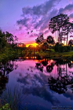 hitku:  Sunset Reflection, Jupiter, Florida 