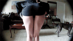 sensual-dominant:  Bend over and lift up your skirt my pet…I