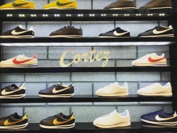 suggabrown:  These Cortez shoes..  (at Melrose Avenue)