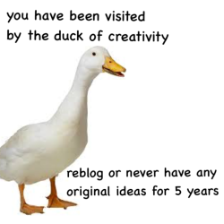 laderdesders1:  fitmaree: Can’t risk it  The duck of creativity.