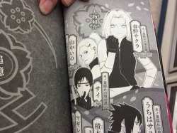 fyeahsasusaku:Sakura Hiden Images Character Page (three-man cell