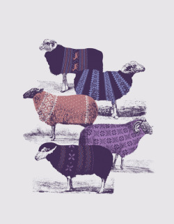   Sweaters’ by Jacques Maes 