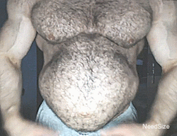needsize:  Juiced up bodybuilder showing off his distended gut.