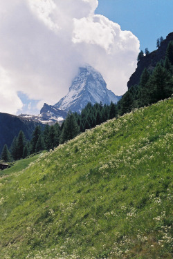 tearingdowndoors:  Matterhorn, Switzerland || traceyjohns 